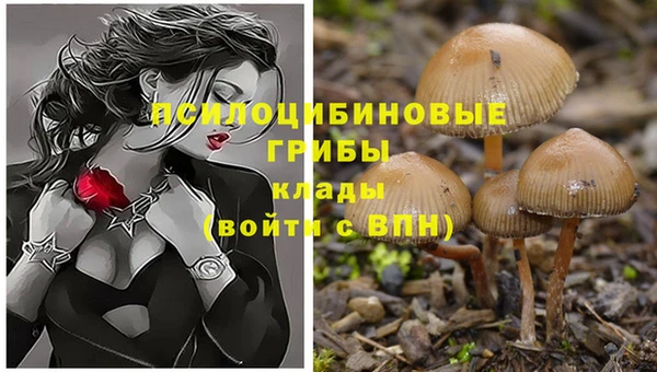каннабис Магадан