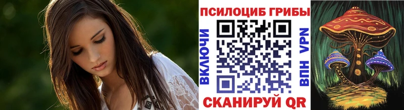 Псилоцибиновые грибы MAGIC MUSHROOMS наркота KRAKEN сайт Чухлома