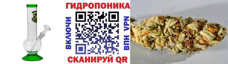 Конопля гибрид  как найти закладки  Чухлома 